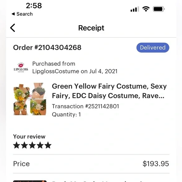 SEXY Fairy Costume 32 D Lingerie Custom Hand Made - Picture 12 of 12